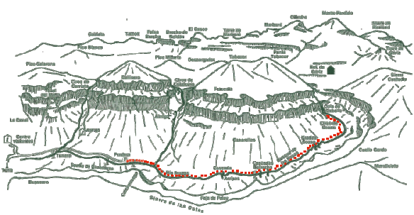 Imagen obtenida de http://trotamontes.org/coladecaballo.htm